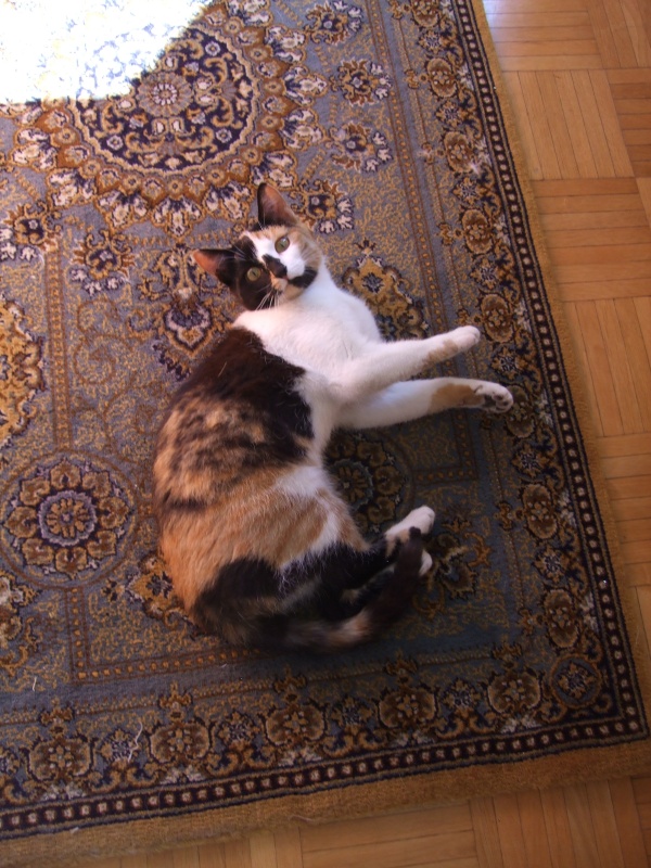 Ostern 2007 Orleshausen 031 